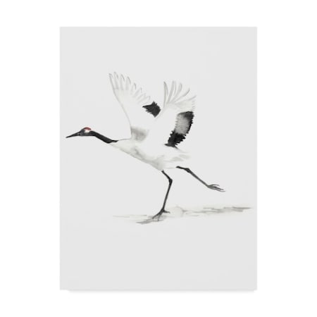 Naomi Mccavitt 'Japanese Cranes Iii' Canvas Art,14x19
